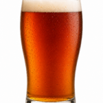BridgePort IPA